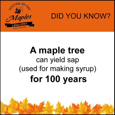 Maple Fun Facts | Festival Of The Maples